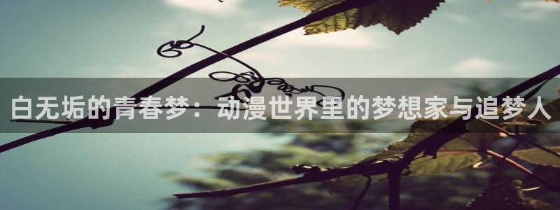 囧次元是哪个公司的：白无垢的青春梦：动漫世界里的梦想家与追梦人