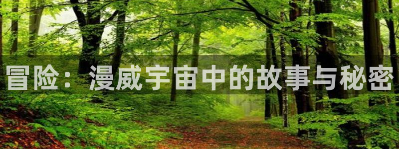 囧次元app最新版：冒险：漫威宇宙中的故事与秘密
