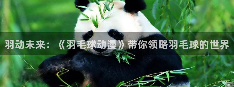 囧次元最新版下载：羽动未来：《羽毛球动漫》带你领略羽毛球的世界