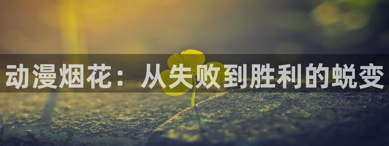 囧次元免费版：动漫烟花：从失败到胜利的蜕变