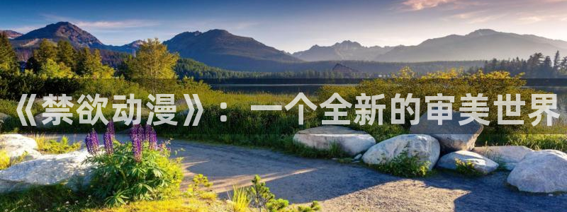 囧次元囧次元：《禁欲动漫》：一个全新的审美世界